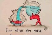 FB_IMG_1663890488734