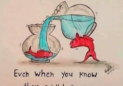 FB_IMG_1663890488734
