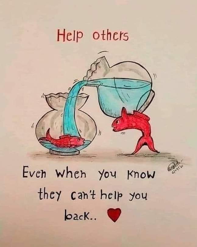 FB_IMG_1663890488734