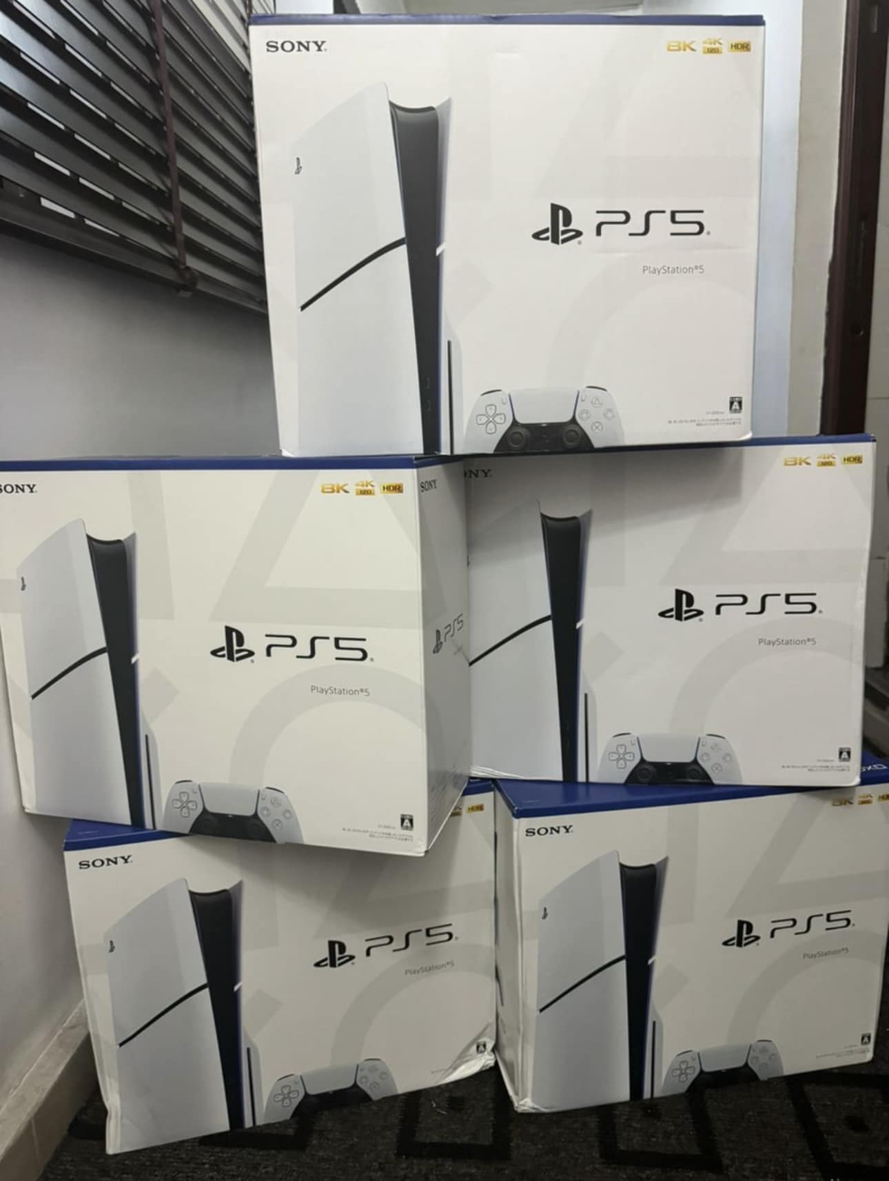 485143849_1019323273591139_5011176102692029696_n