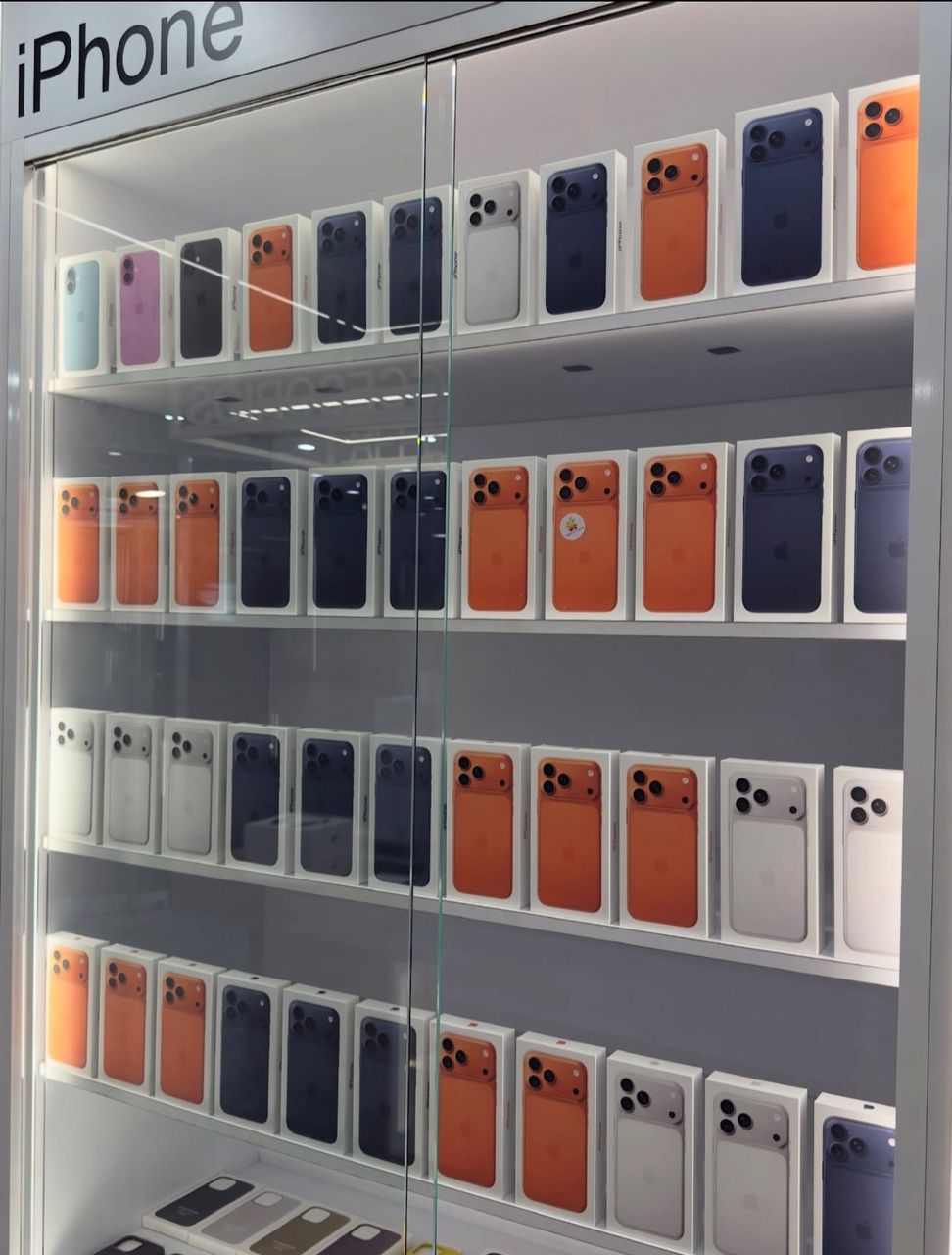 WhatsApp-Image-2025-12-18-at-11.13.14-AM-2